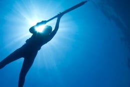 スピアフィッシングが2023年第3四半期に最も多く悪用された攻撃手法となる
