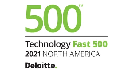 Deloitte 500 2021 SM Size