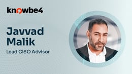 国境によってサイバー脅威から守られているという誤解